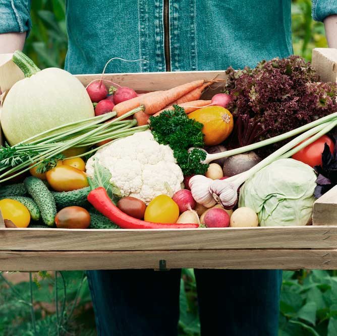 Getting Started on a PlantBased Diet PlantBased Cooking